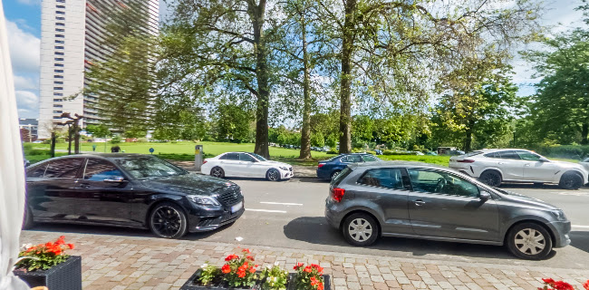 Comentarii opinii despre Lardin