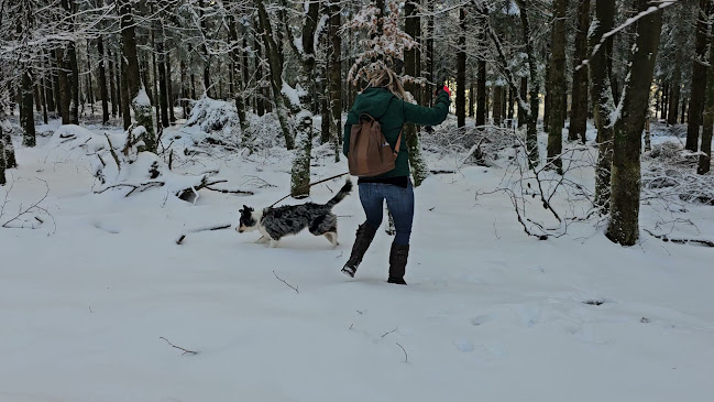 La Baraque Michel - Horeca