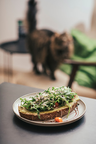 Comentarii opinii despre MAU kattencafé🐈‍⬛