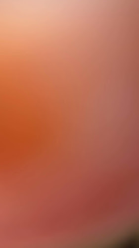 Comentarii opinii despre Basils