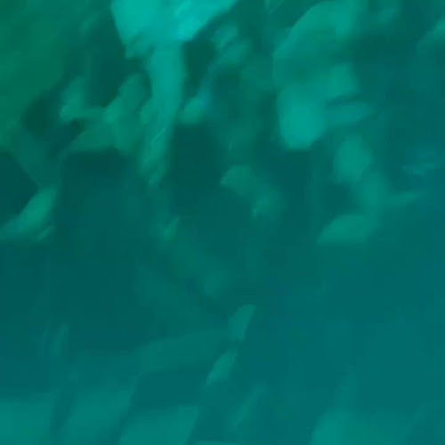 Zuidstraat 160, 1000 Brussel