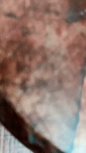 Opinii despre Bébé, Chouchou et Moi în Wavre - Horeca