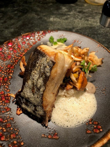 Comentarii opinii despre Domestica