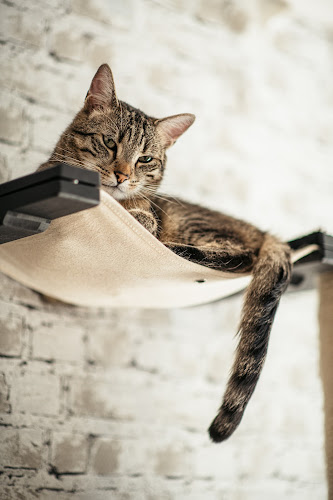 MAU kattencafé🐈‍⬛ - Horeca