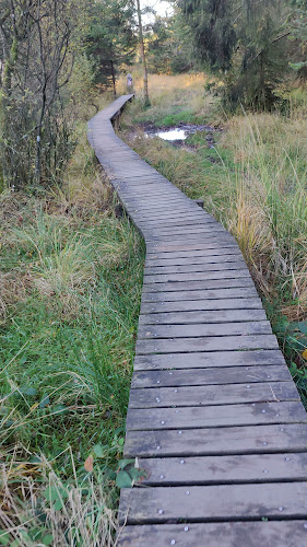 La Baraque Michel - Jalhay