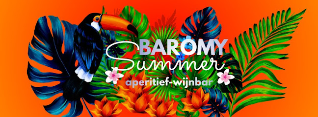 Comentarii opinii despre BAROMY