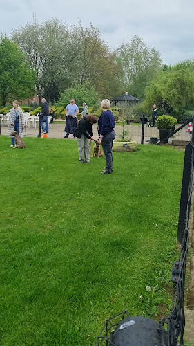 Hondenschool Amicus Groot Ranst - Horeca