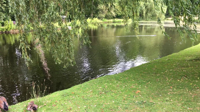 Domino's Pizza Brussel Centrum - Horeca