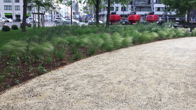 Comentarii opinii despre Domino's Pizza Brussel Centrum