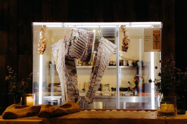 Comentarii opinii despre Zouterover