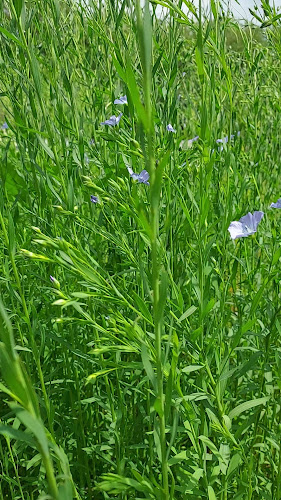 (Jazz) Kaffee Damast, bistro van Texture - Kortrijk