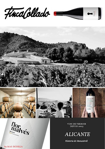 Mas-Bodega - Ramillies