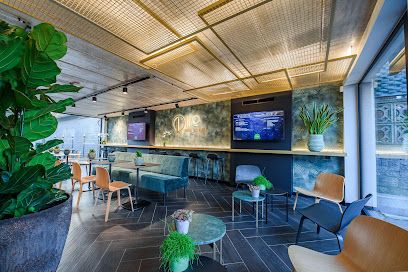 Dino Modern Food Corner