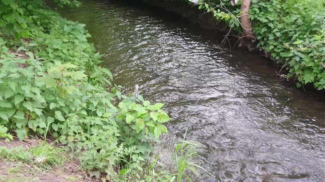 Brasserie De Abdijmolen - Leuven