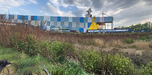 Comentarii opinii despre Steiger 3