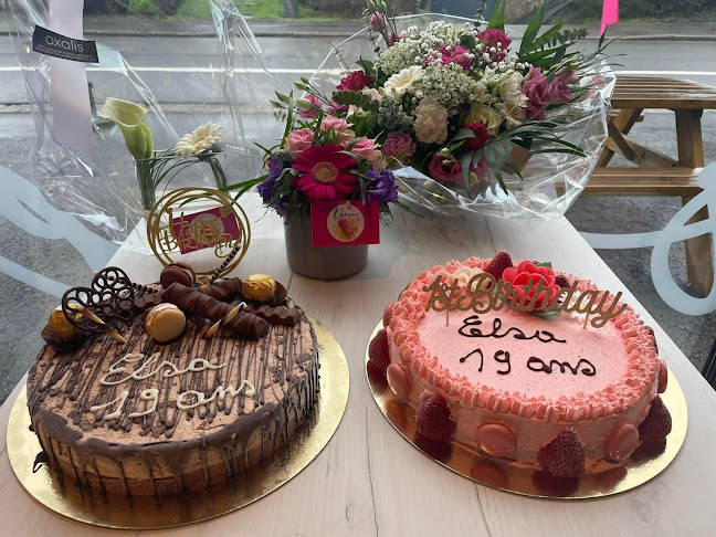 Comentarii opinii despre Glacier Kikoune