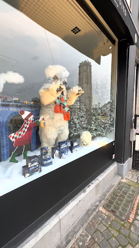 IJzerenleen 33, 2800 Mechelen