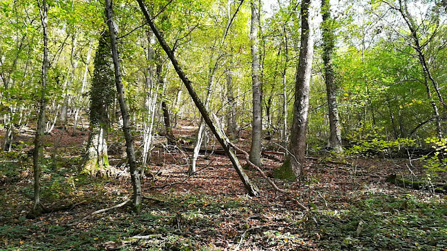 Restaurant Beffely Hills - Rendeux