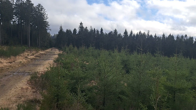 Opinii despre La Baraque Michel în Jalhay - Horeca