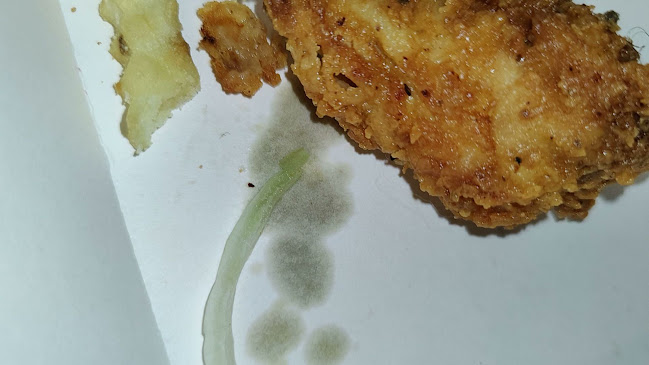 Opinii despre Belchicken în Hasselt - Horeca