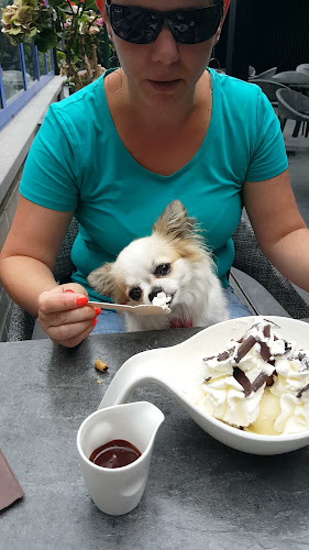 Mont Blanc Cinacien - Horeca
