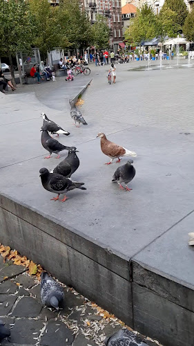 Pizzeria Posto Al Sole