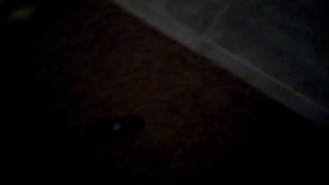 Comentarii opinii despre ' t Prinske