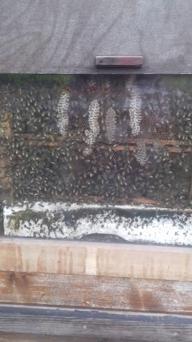 Bistro Het Vinne by Rux & Roll