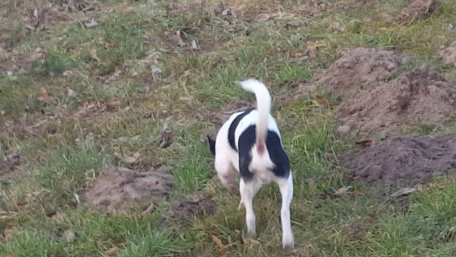 Café National - Menen