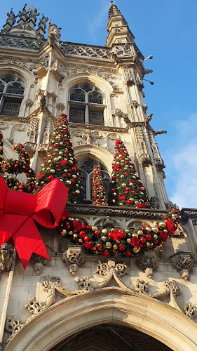 Comentarii opinii despre Markt van Oudenaarde