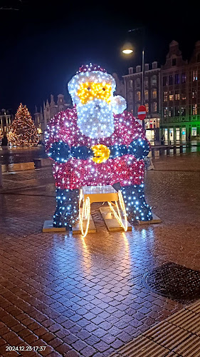 Reviews of Grote Markt in Lier - Horeca