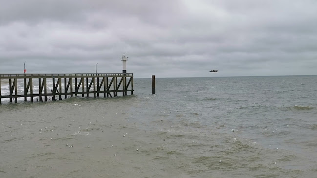 Brasserie Oosterstaketsel - Horeca