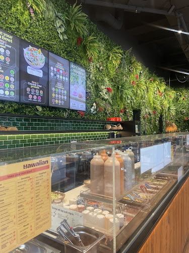 P.J. Brepolsplein 11, 2300 Turnhout