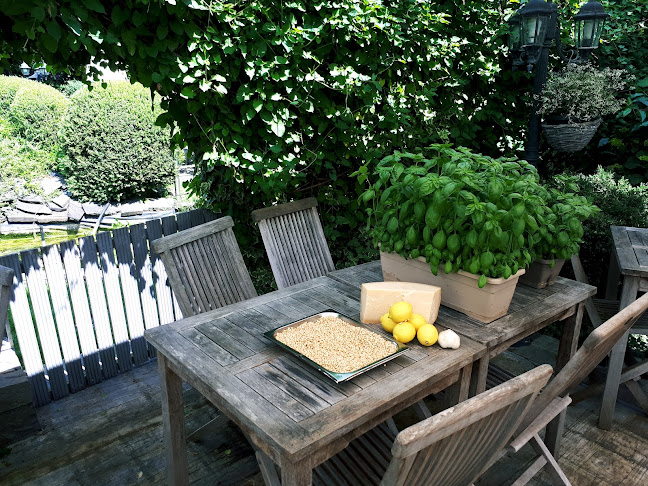 Arcobaleno Oudenaarde - Horeca