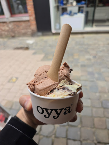 oyya - waffles & ice cream - Horeca