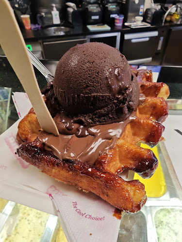Damass - Horeca