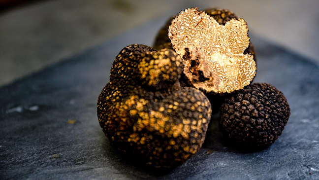 Comentarii opinii despre Viticolo