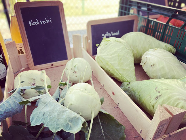 Opinii despre Korte Keten Markt Hunnegem în Geraardsbergen - Horeca