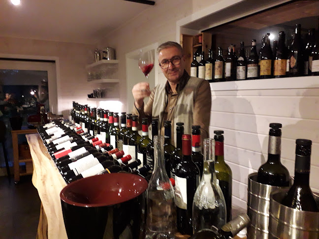 Comentarii opinii despre RVVino BV