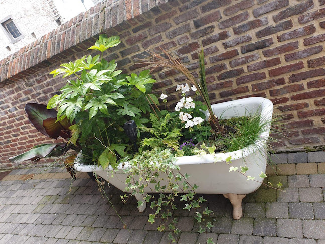 Terrasse des Amis - Horeca