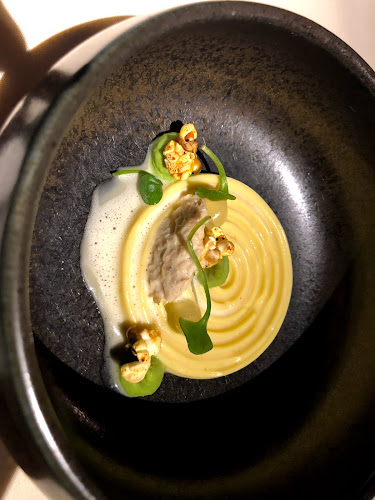 Comentarii opinii despre Vivendum