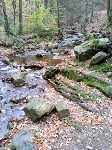 Rue de Jalhay 50, 4845 Jalhay, België