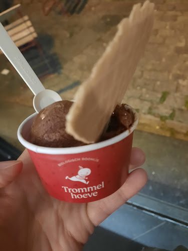 Comentarii opinii despre Trommelhoeve