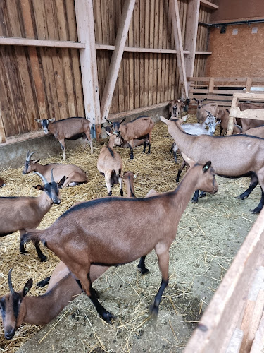 Comentarii opinii despre Natürlich Hunger