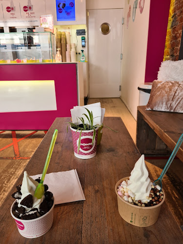 Moochie Fabulous Frozen Yogurt Gent - Horeca
