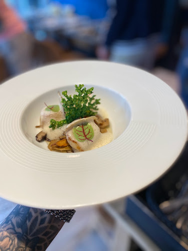 Comentarii opinii despre Mosa