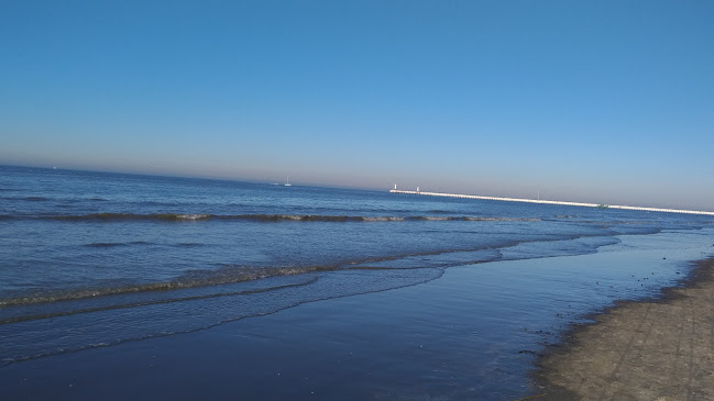 Comentarii opinii despre Paulina