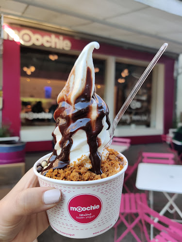 Moochie Fabulous Frozen Yogurt Gent