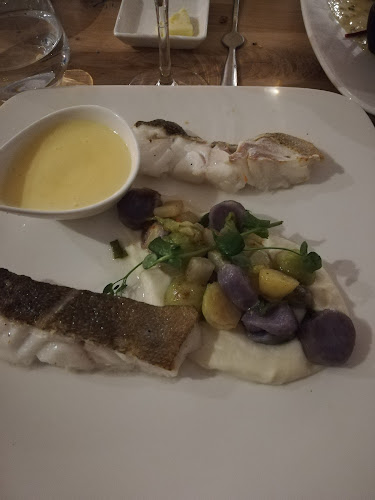 Lobster - Oostende