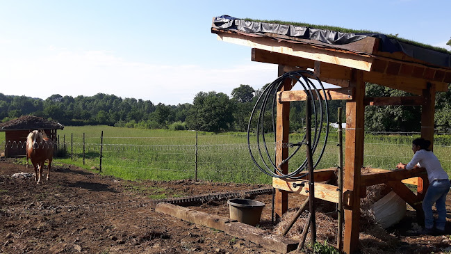 Comentarii opinii despre Het Mooi Alternatief